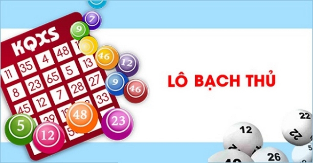 Phối hợp với với bạch thủ lô để soi kèo hiệu quả